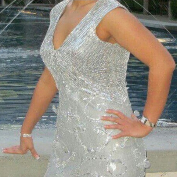 Silver Dress - Picture 5 of 5